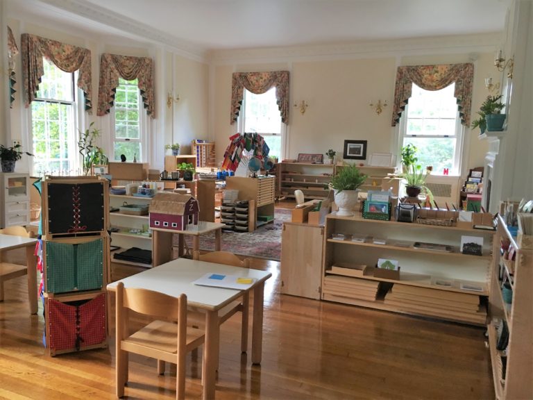 Montessori education visual data 5